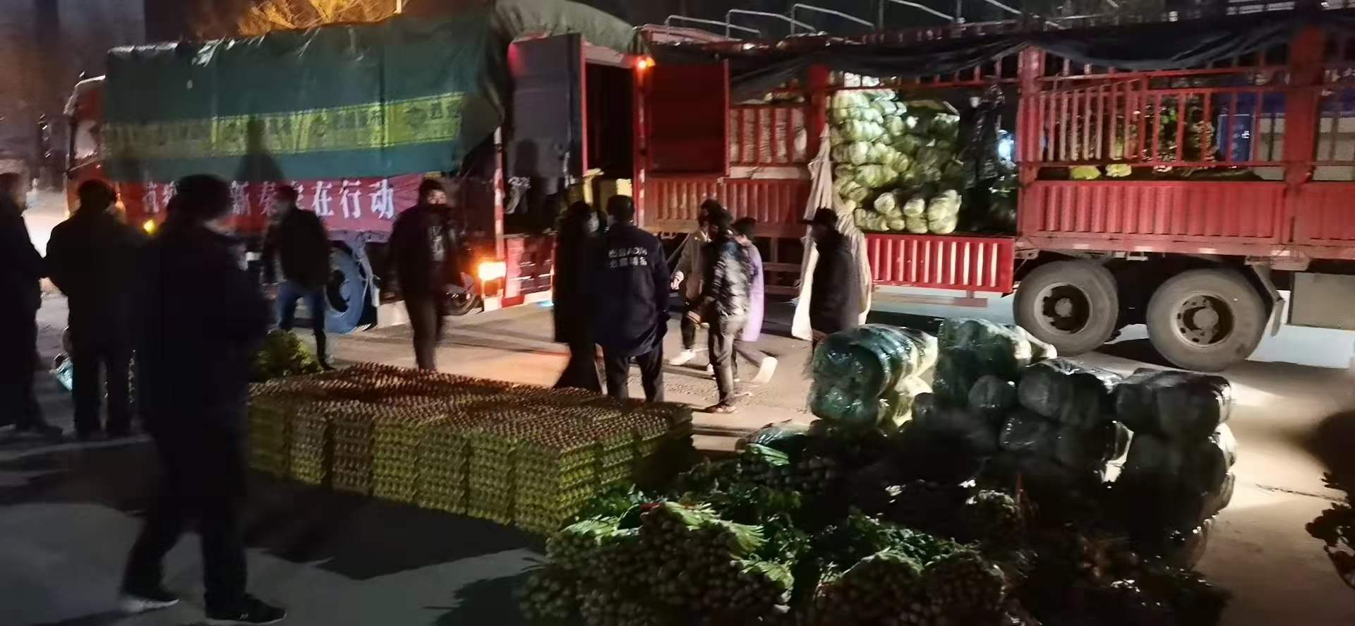 感謝黨和政府對我公司送來新鮮蔬菜，愿，國無恙，山河永固，加油，西安！